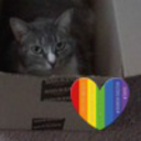 toooldtoactcool avatar