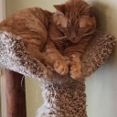 tooqueer2care avatar