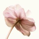 toosensitivefortheinternet avatar