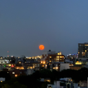 toosweetforanyone avatar