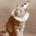 toothfairyinc avatar