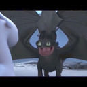 toothless-lover1 avatar