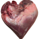 toothlesssoul avatar