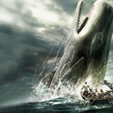 toothlesswhale avatar