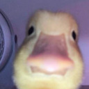 tootsy-sodareyes avatar