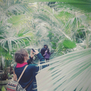 toowildtolive avatar