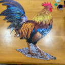 toowinnerarcade avatar