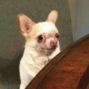 topatacocat-blog avatar