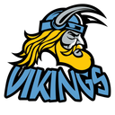 topbringvikings avatar