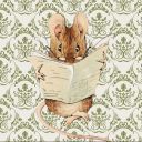 topinodabiblioteca avatar