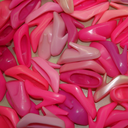 topnotchbitch avatar