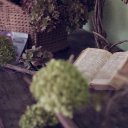 topplingtowers avatar