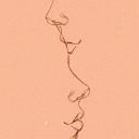 topraktakiyagmurkokusu avatar