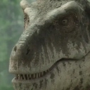 tor-the-tyrannosaur avatar