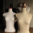 torai-du-monde avatar