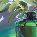 torijheneabra avatar