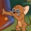 toritoritortilla avatar