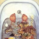 toroidal-spider avatar