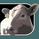 torontocowsave avatar