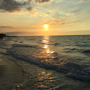 torontosugarbabyx avatar