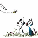 torradeiraonfire avatar