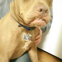 torrythetorry avatar