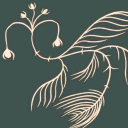 tortoise-teapot avatar