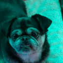 torturousdays avatar