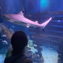 toscagarciagil avatar