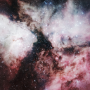 tosea-thestars avatar