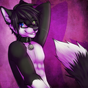 toshifox avatar