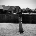 tostaystrong-or-relapse avatar