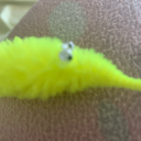 toster-da-bred avatar