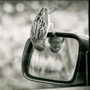 total-nightmare avatar