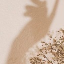 totaleclipseofmyheart avatar