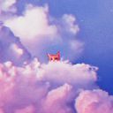 totallingbard61 avatar