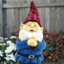 totally-not-a-gnome avatar