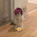 totally-not-a-pigeon avatar