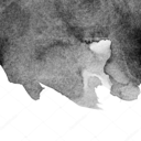 totally-not-punkk avatar