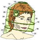 totallygroovy avatar