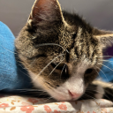 totallyhumanwhat avatar