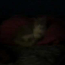 totallynotavirusbot-blog avatar