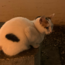 totallynotgrayson avatar