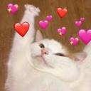 totallynotstalya avatar