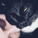 totallynottheunsub avatar