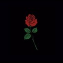 totallyrainbow avatar