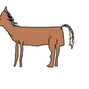 totallyvaliantnut avatar