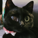 totaltrashmamal2001 avatar