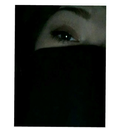 tote-praesidenten avatar