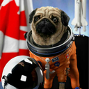 totesaspacepug avatar
